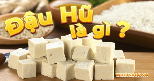 Ăn đậu phụ mỗi ngày có tốt không?